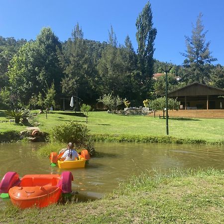 Quinta Da Vinha Do Souto Vila Aruouca Exterior foto