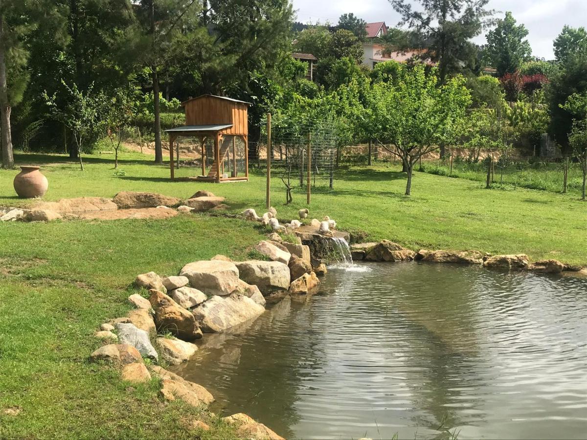 Quinta Da Vinha Do Souto Vila Aruouca Exterior foto
